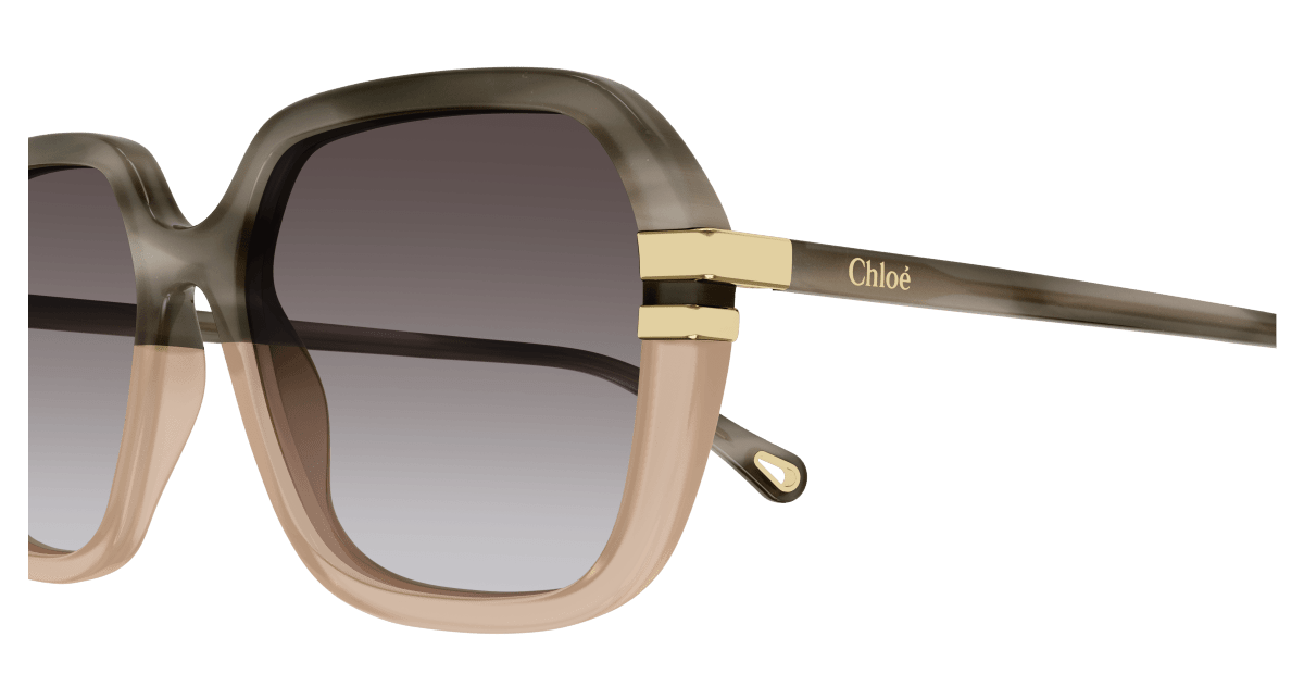 Chloé CH0204S Grey/Brown 889652451947