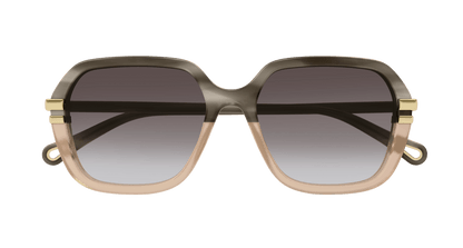 Chloé CH0204S Grey/Brown 889652451947