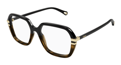 Chloé CH0205O Black, 53mm 889652452012