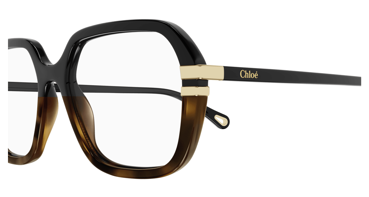 Chloé CH0205O Black, 53mm 889652452012