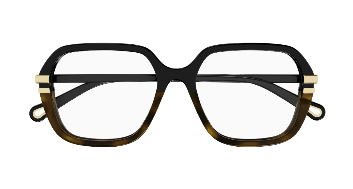 Chloé CH0205O Black, 53mm 889652452012