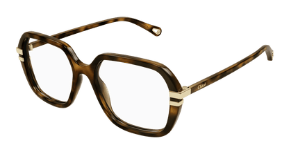 Chloé CH0205O Havana, 53mm 889652452005