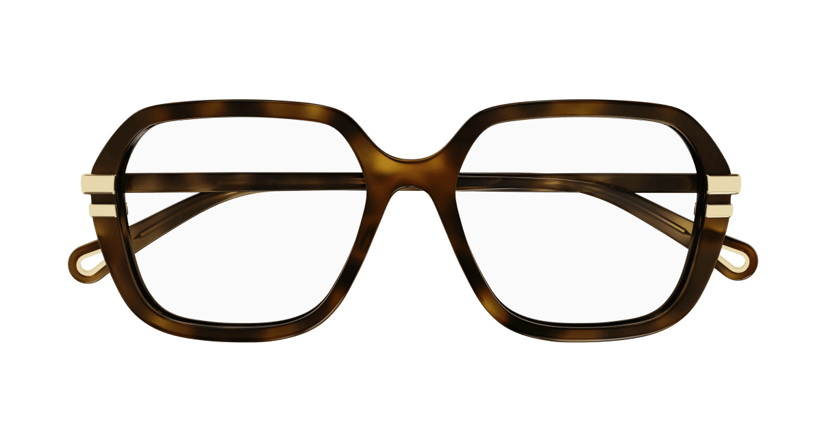 Chloé CH0205O Havana, 53mm 889652452005