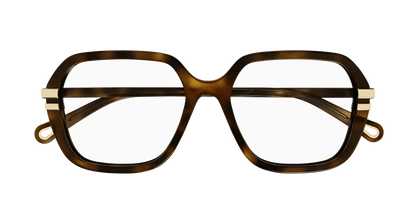 Chloé CH0205O Havana, 53mm 889652452005