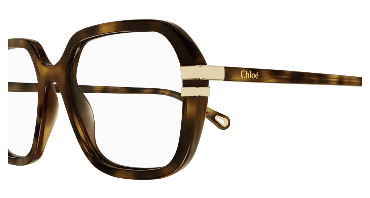 Chloé CH0205O Havana, 53mm 889652452005