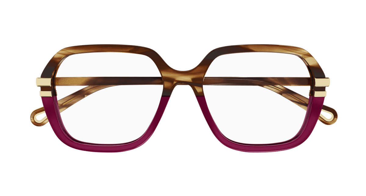 Chloé CH0205O Havana, 53mm 889652452029