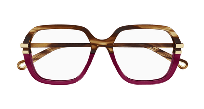 Chloé CH0205O Havana, 53mm 889652452029