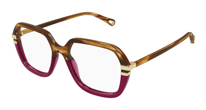 Chloé CH0205O Havana, 53mm 889652452029