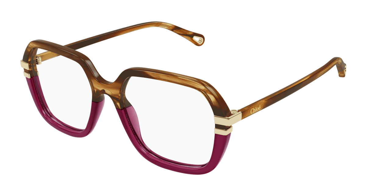 Chloé CH0205O Havana, 53mm 889652452029
