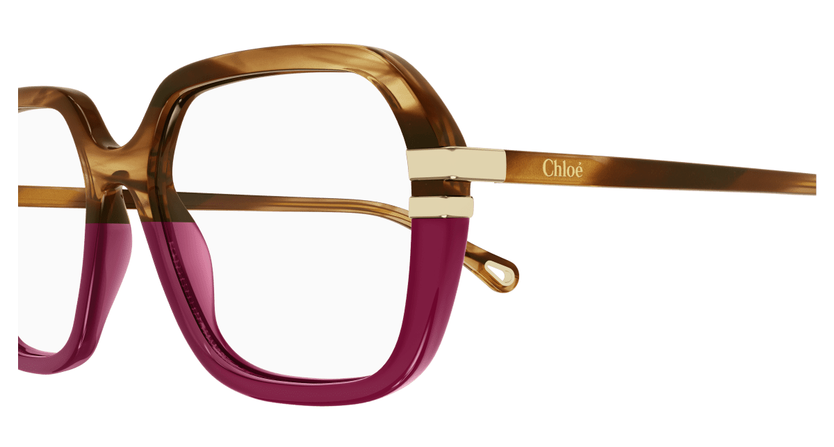 Chloé CH0205O Havana, 53mm 889652452029