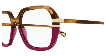 Chloé CH0205O Havana, 53mm 889652452029
