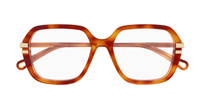 Chloé CH0205O Havana, 53mm 889652602950