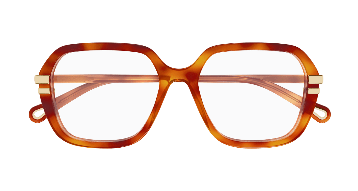 Chloé CH0205O Havana, 53mm 889652602950