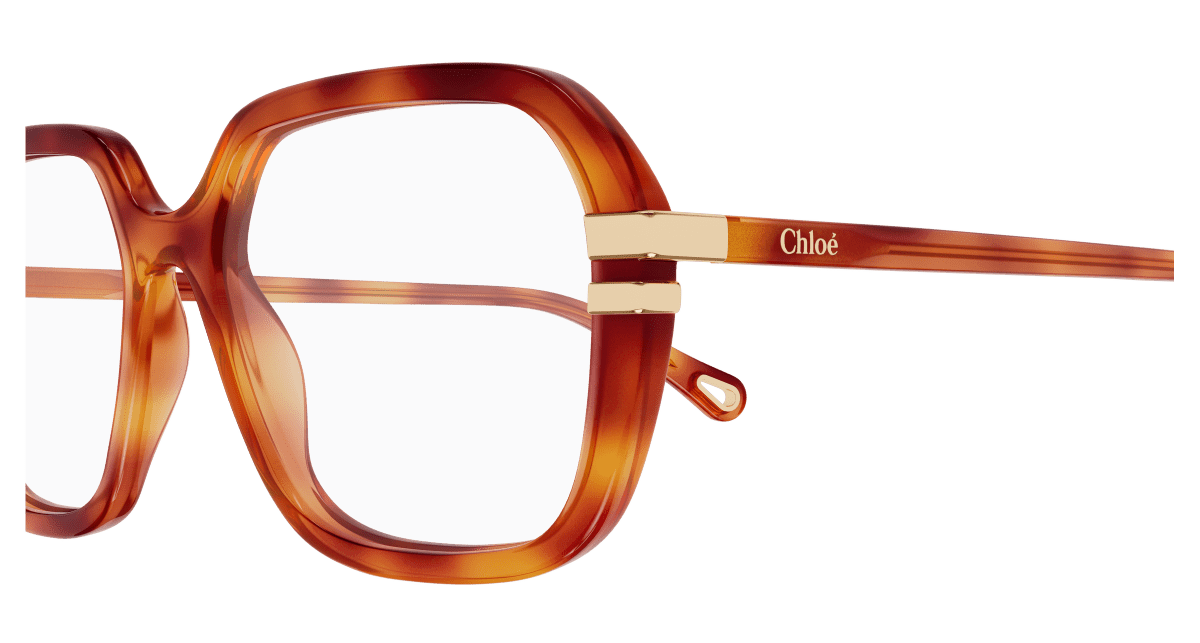 Chloé CH0205O Havana, 53mm 889652602950
