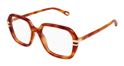 Chloé CH0205O Havana, 53mm 889652602950