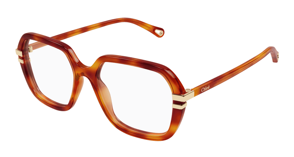 Chloé CH0205O Havana, 53mm 889652602950