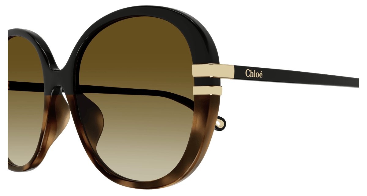 Chloé CH0207SK Black/Brown 889652451978
