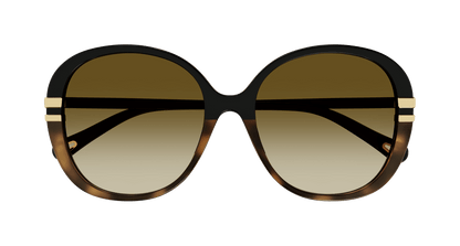 Chloé CH0207SK Black/Brown 889652451978