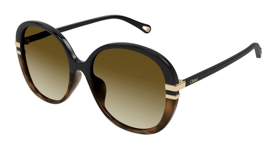 Chloé CH0207SK Black/Brown 889652451978