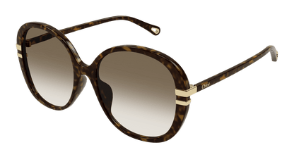 Chloé CH0207SK Havana/Brown 889652451961