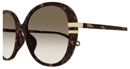 Chloé CH0207SK Havana/Brown 889652451961