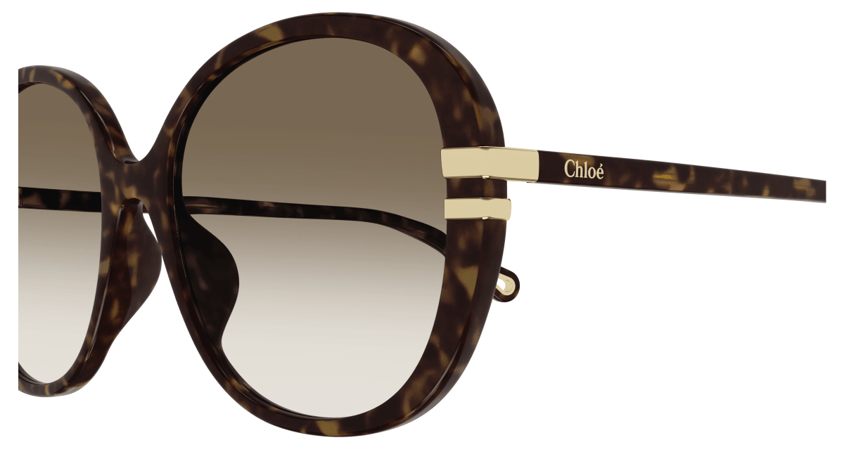 Chloé CH0207SK Havana/Brown 889652451961