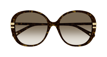 Chloé CH0207SK Havana/Brown 889652451961