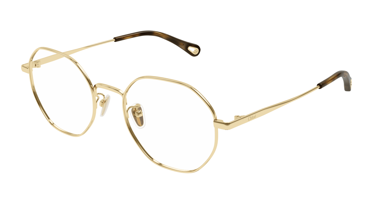 Chloé CH0215OA Eyeglasses 889652450841