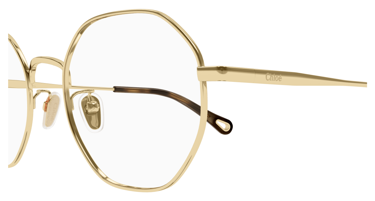 Chloé CH0215OA Eyeglasses 889652450841