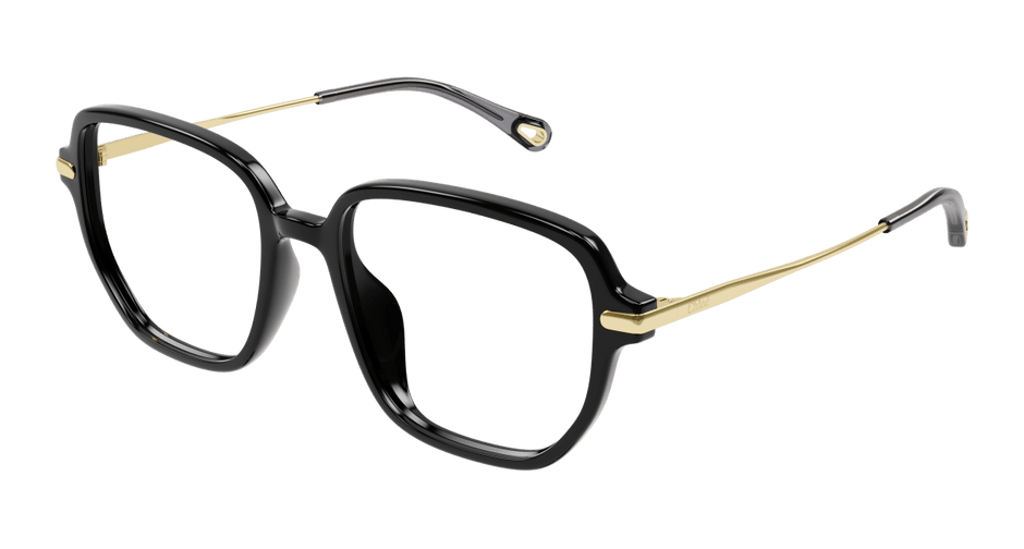 Chloé CH0218OA Black 889652450964