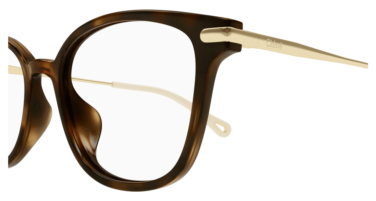 Chloé CH0219OA Havana 889652451015