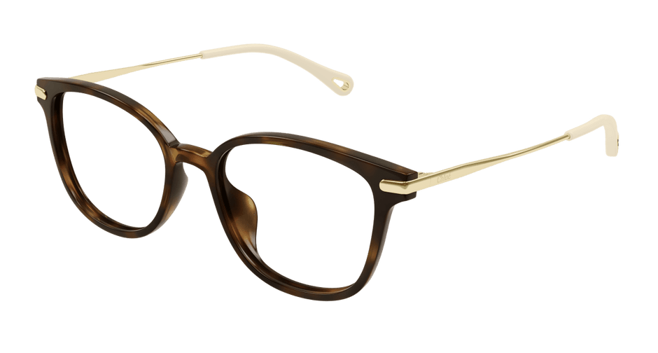 Chloé CH0219OA Havana 889652451015