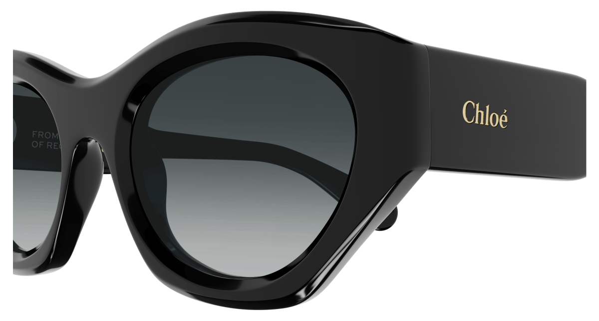 Chloe CH0220S Sunglasses 889652480923