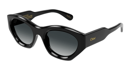 Chloé CH0220S Black/Grey 889652480923