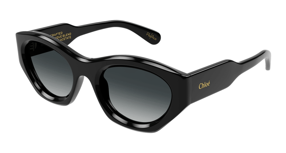 Chloé CH0220S Black/Grey 889652480923