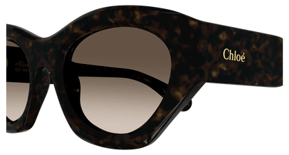 Chloé CH0220S Havana/Brown 889652480930