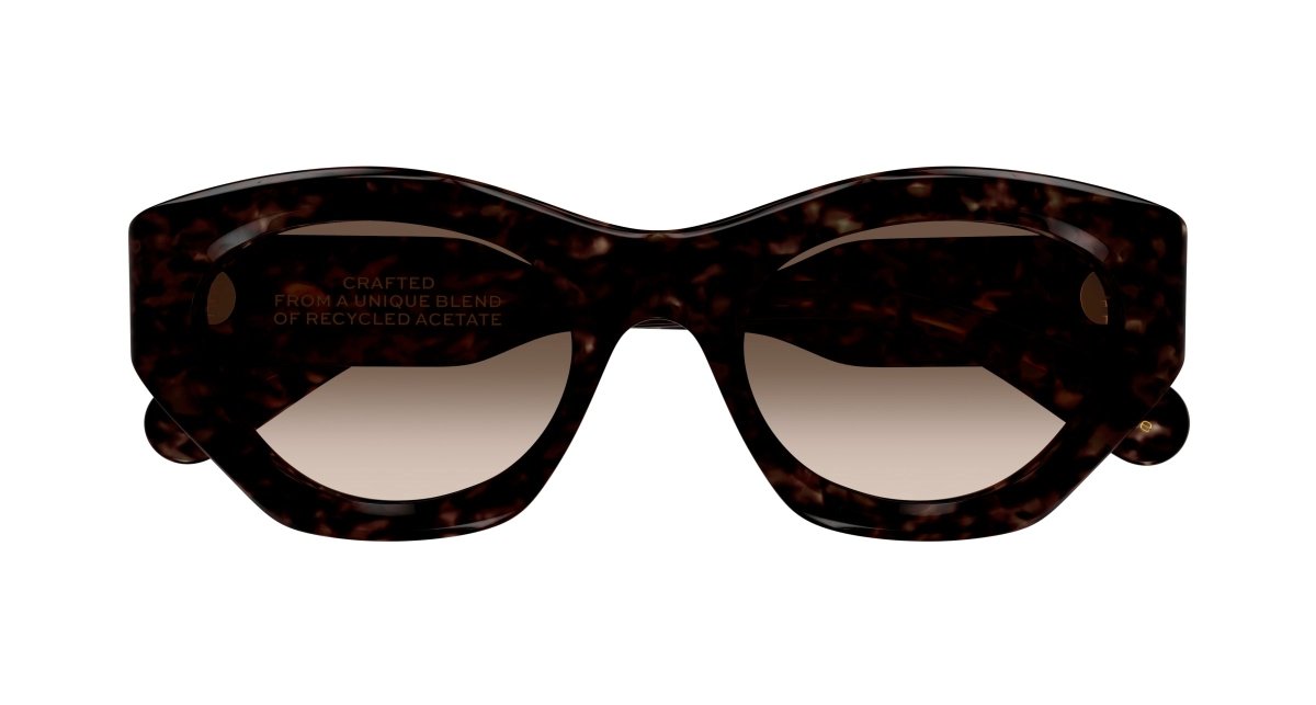 Chloe CH0220S Sunglasses 889652480930