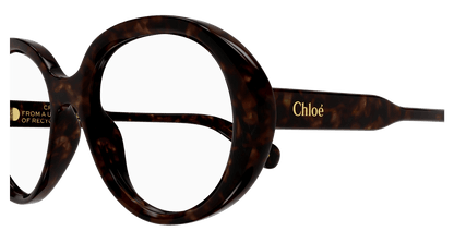 Chloé CH0221O Havana, 53mm 889652488813
