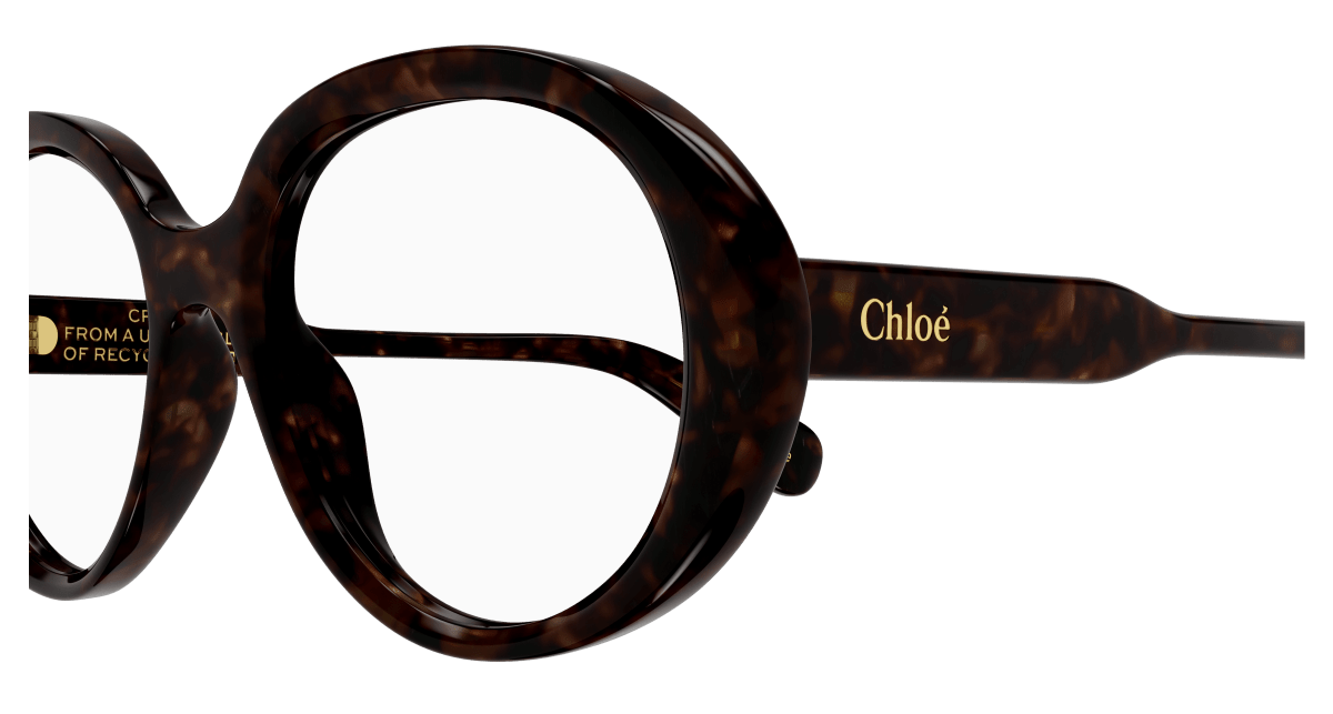Chloé CH0221O Havana, 53mm 889652488813