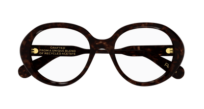 Chloé CH0221O Havana, 53mm 889652488813