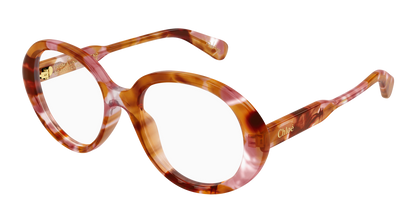Chloé CH0221O Havana, 53mm 889652599960