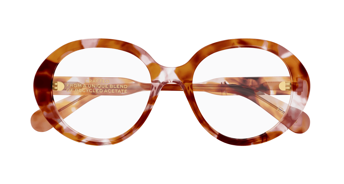 Chloé CH0221O Havana, 53mm 889652599960