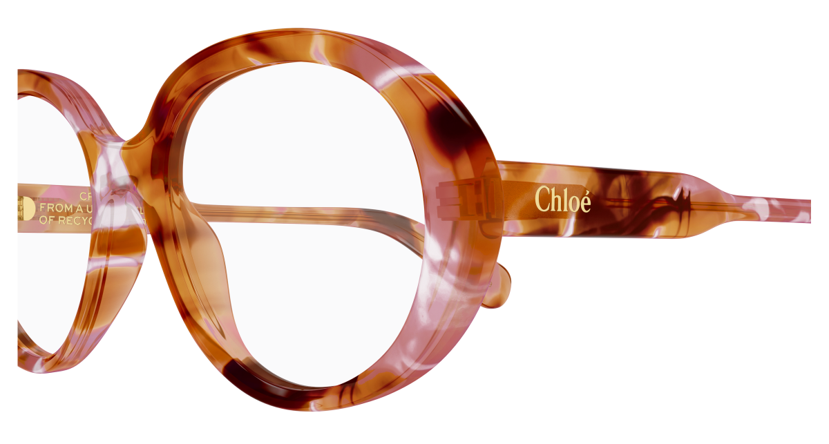 Chloé CH0221O Havana, 53mm 889652599960