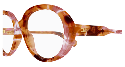 Chloé CH0221O Havana, 53mm 889652599960