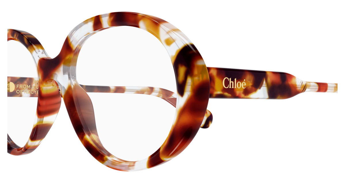 Chloé CH0221O Havana, 53mm 889652600055