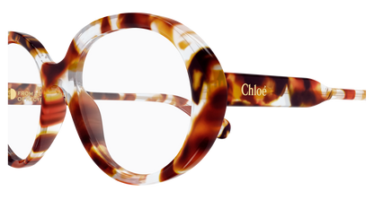 Chloé CH0221O Havana, 53mm 889652600055