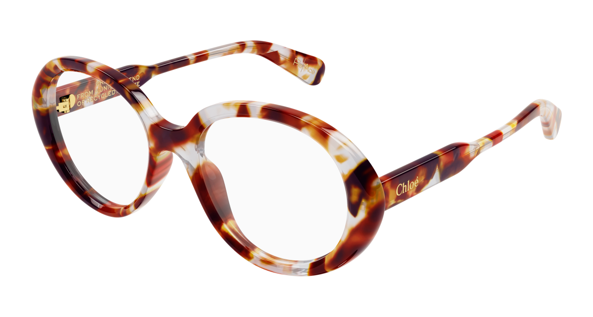Chloé CH0221O Havana, 53mm 889652600055