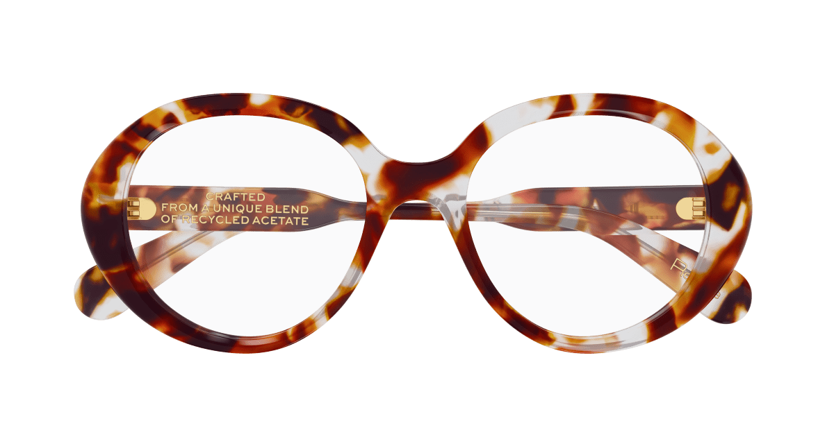 Chloé CH0221O Havana, 53mm 889652600055