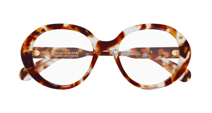 Chloé CH0221O Havana, 53mm 889652600055
