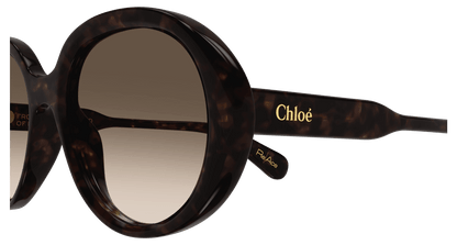 Chloé CH0221S Havana/Brown 889652480985